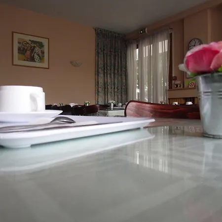 Du Parc Hotel 3*