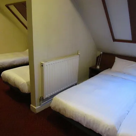 Du Parc Hotel 3*